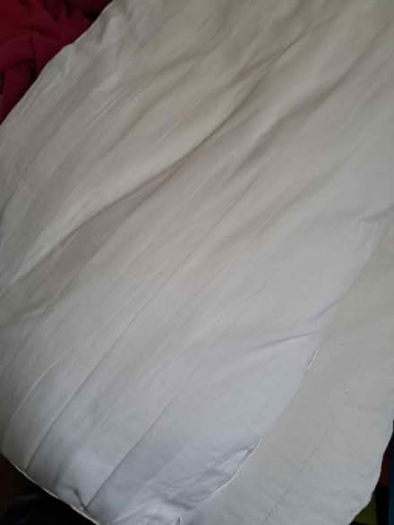 Photo of free Pillows (N22 Haringay) #1