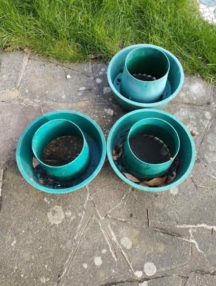 Photo of free Tomato grow pots (Thorpe Bay SS1) #2