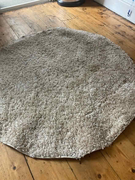 Photo of free Circular rug (Walkley) #1