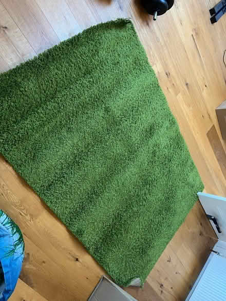 Photo of free Kids jungle curtains and rug (Gosforth NE3) #3