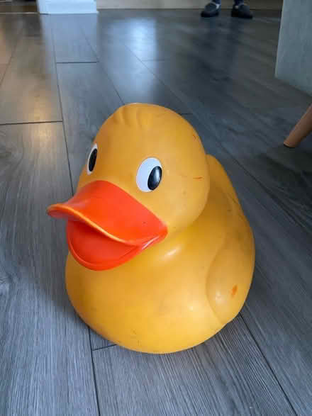 Photo of free Large plastic duck (Finnieston, Glasgow, G3) #2