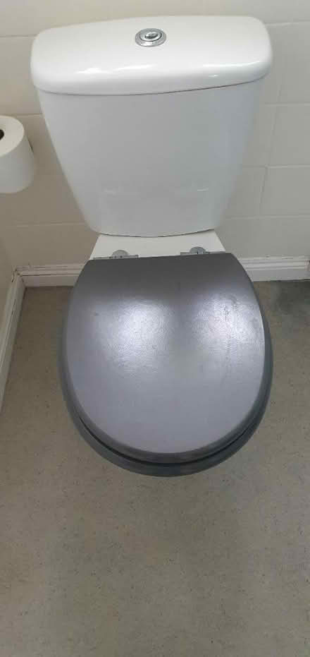 Photo of free WC white, modern (honiton EX14) #1