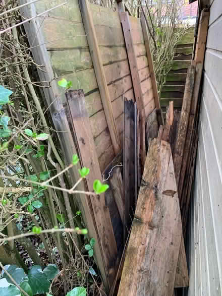 Photo of free Wood from dismantled Shed (Timperley WA15) #1