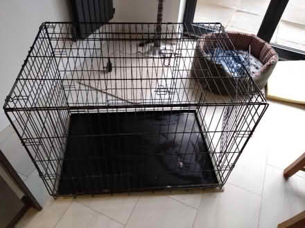 Photo of free Dog Cage and bowls (Burbage LE10) #4