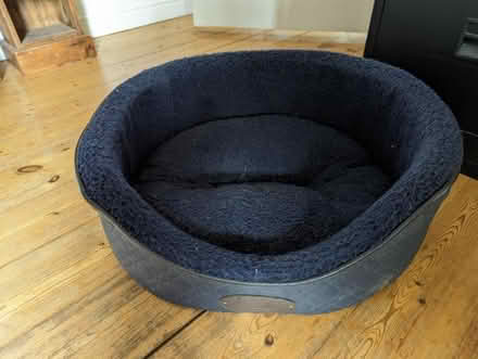 Photo of free Dog Basket for Small to Medium sized Dog (Cumnor OX2) #1