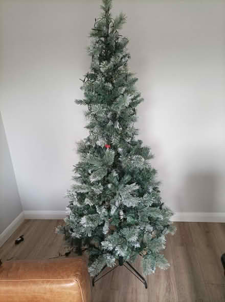 Photo of free 6' Christmas Tree (Canvey SS8) #2
