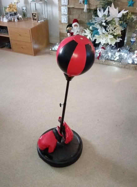 Photo of free punch bag for kids (Woosehill RG41) #1