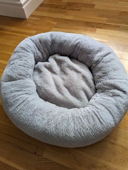 Photo of free Cat bed (High Green S35) #1