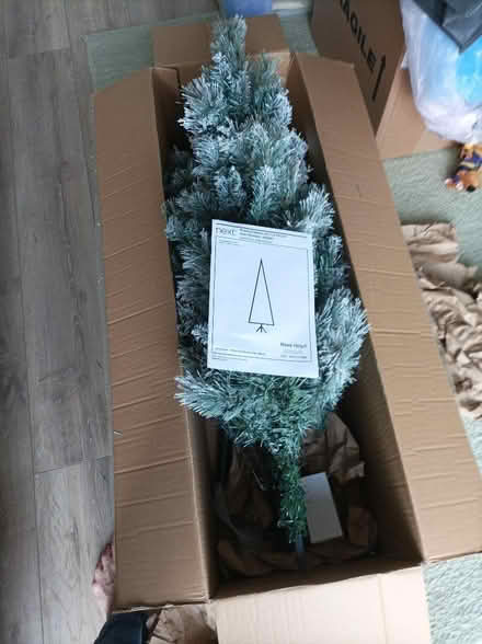 Photo of free 6' Christmas Tree (Canvey SS8) #3