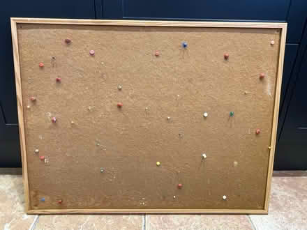 Photo of free Pinboard with pins (EH16, Liberton) #1