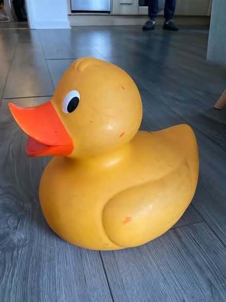 Photo of free Large plastic duck (Finnieston, Glasgow, G3) #1