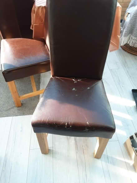 Photo of free Dining room chairs (CT10) #2