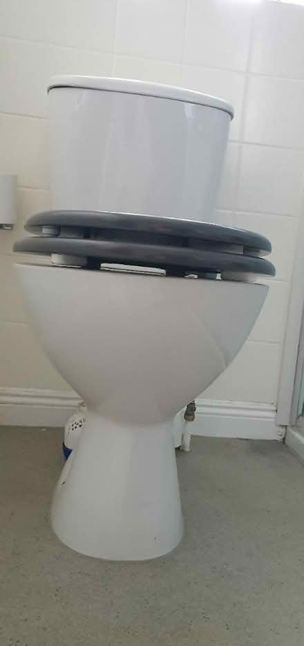Photo of free WC white, modern (honiton EX14) #3