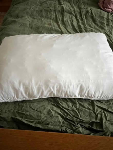 Photo of free Pillows (Newtonhill AB39) #4