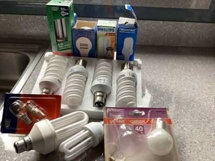 Photo of free Lightbulbs selection (Peasedown St John CP) #1