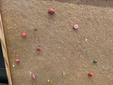 Photo of free Pinboard with pins (EH16, Liberton) #3