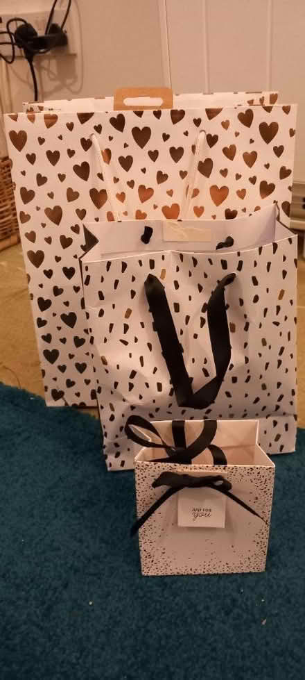 Photo of free Gift bags assorted sizes (PO19) #1