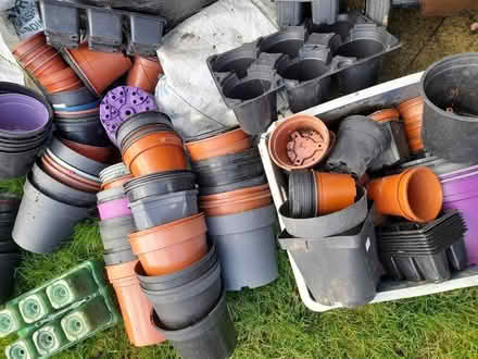 Photo of free Plant pots and trays - lots (Brundall) #1