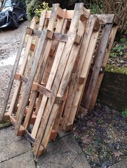 Photo of free half pallets (Blackboys TN22) #1
