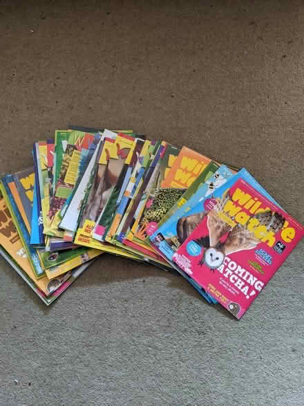 Photo of free Children's Wildlife Trust Mags (Nailsea BS48) #1