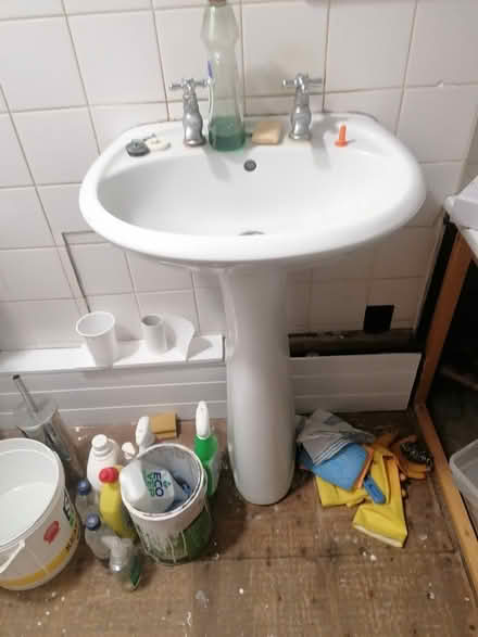 Photo of free Basin and pedestal (SE19) #4