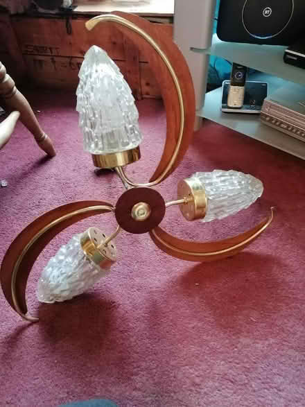 Photo of free 1960/70 light with grape shades (Starbeck HG1) #1