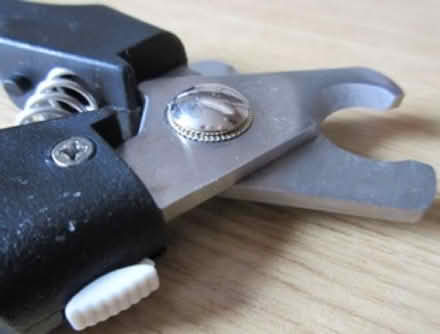 Photo of free Pet nail clippers (Little Heath RG31) #1