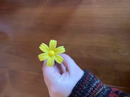 Photo of free Fun daisy and dinosaur pens (Watertown) #2