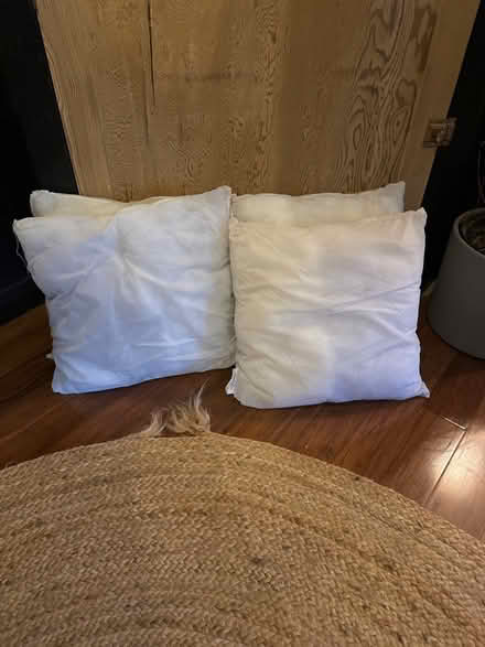 Photo of free 4 40cm x 40cm cushion pads/inserts (CH44) #1
