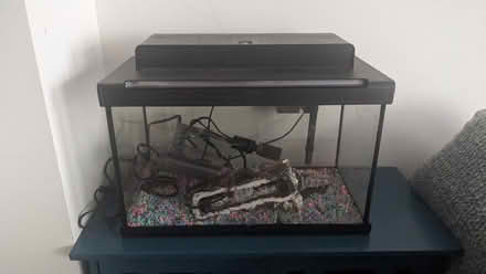 Photo of free 5 gallon fish Tank (Mississauga road and wanless) #1
