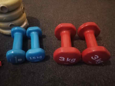 Photo of free Free weights (G21 balornock) #3