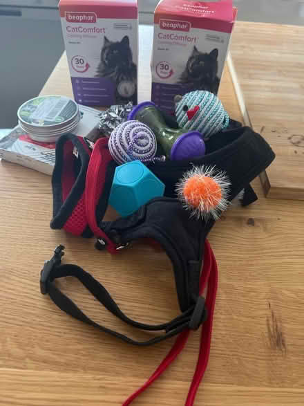 Photo of free Assorted cat toys and collars (LU7) #1