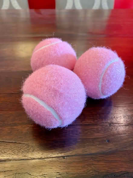 Photo of free 10 New pink tennis balls (Cabin John near Bethesda) #2