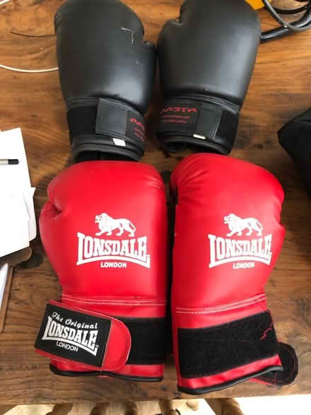 Photo of free Boxing gloves (Emsworth) #1