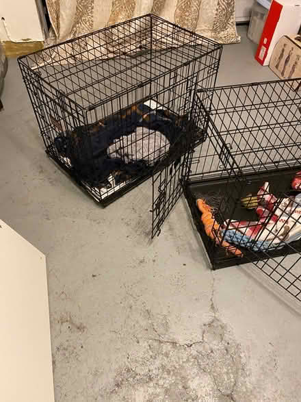 Photo of free 2 large dog crates (Slough SL3) #1