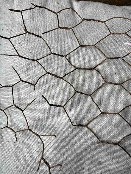 Photo of Rusty stucco /chicken wire (San anselmo) #1