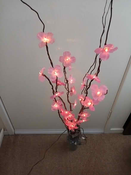 Photo of free Decorative flower stems - mains operated (Loughborough LE11) #2