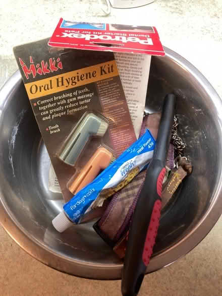 Photo of free Things for a dog (Ickford HP18) #1