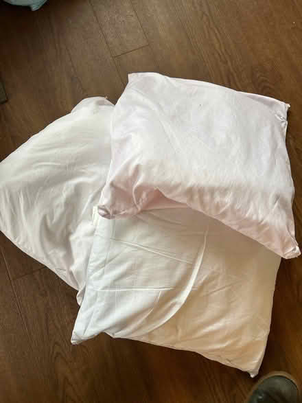Photo of free Cushion inserts (ME15 8) #1