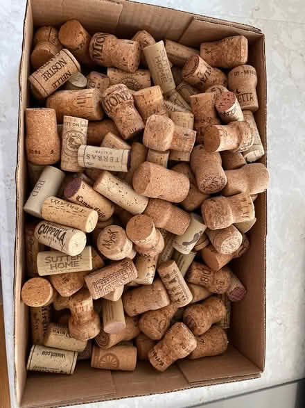 Photo of free Glass and plastic containers, corks (Reading, off West st) #4