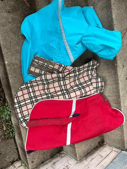 Photo of free dog coats (Capitol Hill 20002) #1