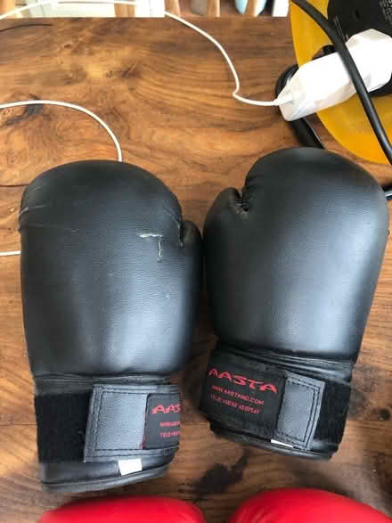 Photo of free Boxing gloves (Emsworth) #2