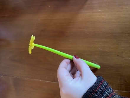 Photo of free Fun daisy and dinosaur pens (Watertown) #3