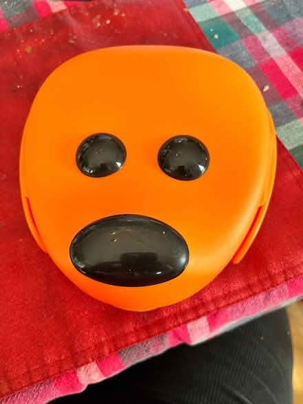 Photo of free Dog lunch box (Clinton Hill) #1