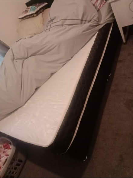 Photo of free Double Bed with Plain Headboard (Wester Hailes EH14) #3