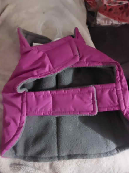 Photo of free Xs dog coat (Jamaica new york) #2