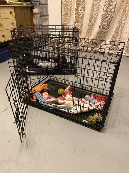 Photo of free 2 large dog crates (Slough SL3) #2