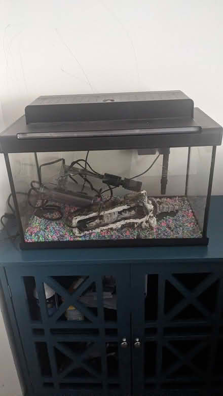 Photo of free 5 gallon fish Tank (Mississauga road and wanless) #2