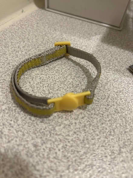 Photo of free Kitty Collar (Ottawa) #1