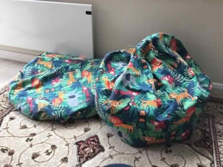 Photo of free Bean bags (Lower Green TN2) #1